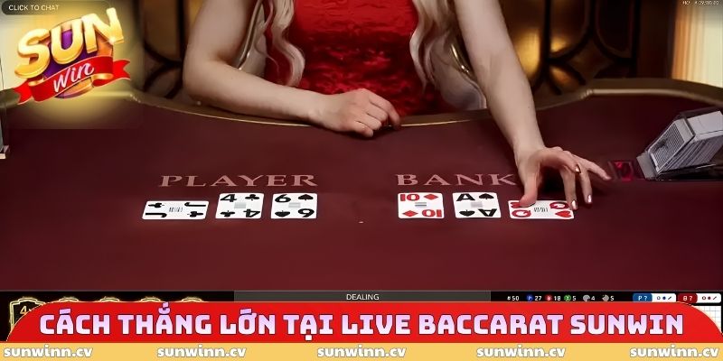 Cách thắng lớn tại Live Baccarat SUNWIN 