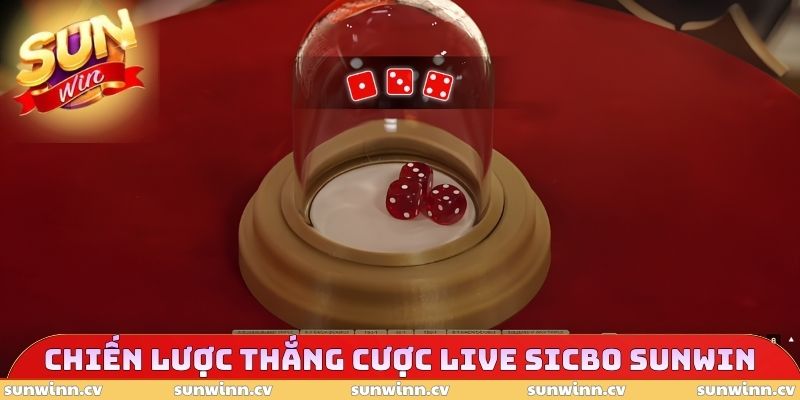 Chiến lược thắng cược Live Sicbo SUNWIN 