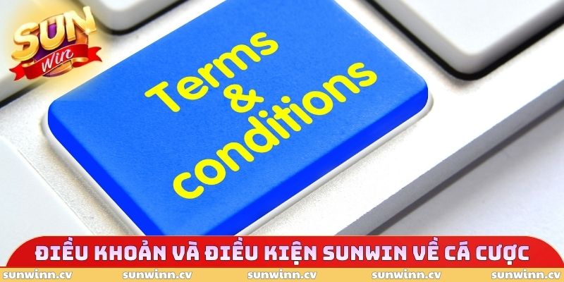 Điều Khoản Và Điều Kiện SUNWIN 3 Điều khoản và điều kiện SUNWIN về cá cược