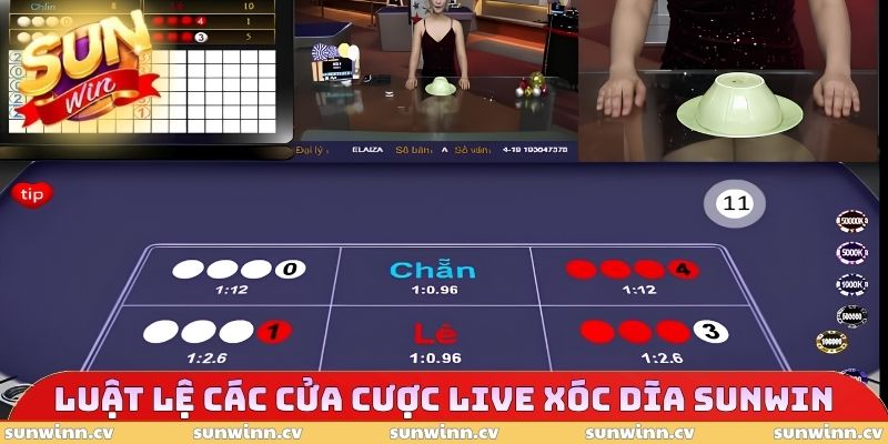 Live Xóc Dĩa SUNWIN - Trò Chơi Cuốn Hút, Rinh Quà Cực Dễ 3 Luật lệ các cửa cược Live Xóc Dĩa SUNWIN