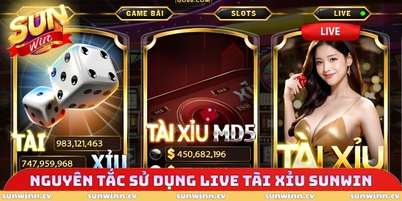 Live Tài Xỉu SUNWIN - Trải Nghiệm Dễ Dàng, Rinh Quà Cực Đã 4 Nguyên tắc sử dụng Live Tài Xỉu SUNWIN