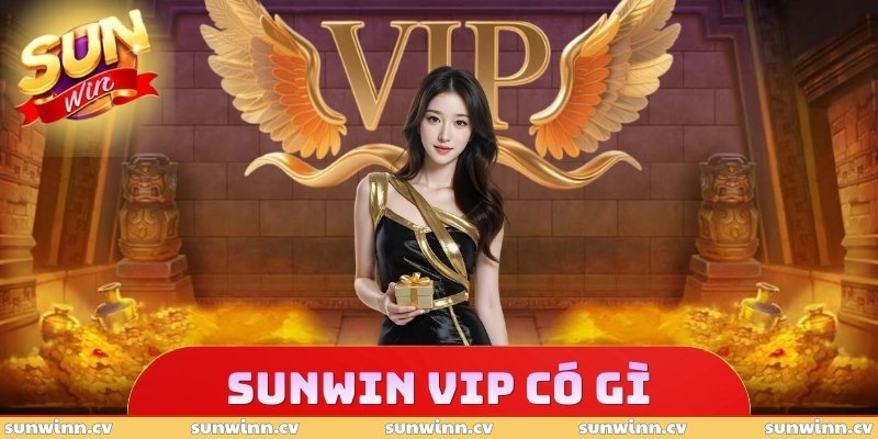 Sunwin VIP Có Gì? Khám Phá Đặc Quyền Cho Hội Viên Cao Cấp 1 Sunwin VIP Có Gì