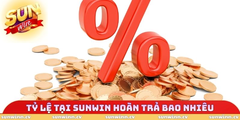 Tỷ lệ tại SUNWIN hoàn trả bao nhiêu
